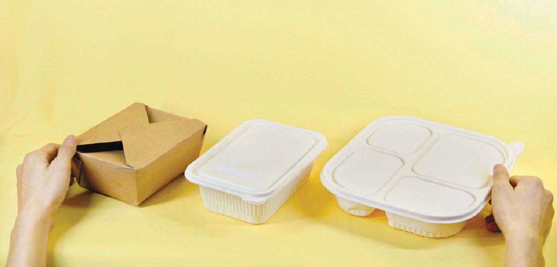 Resumen Ejecutivo Circular Pack 01